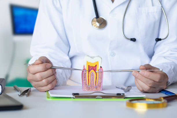 Best After-Hours Dental Trauma Care in Mitchell, NE